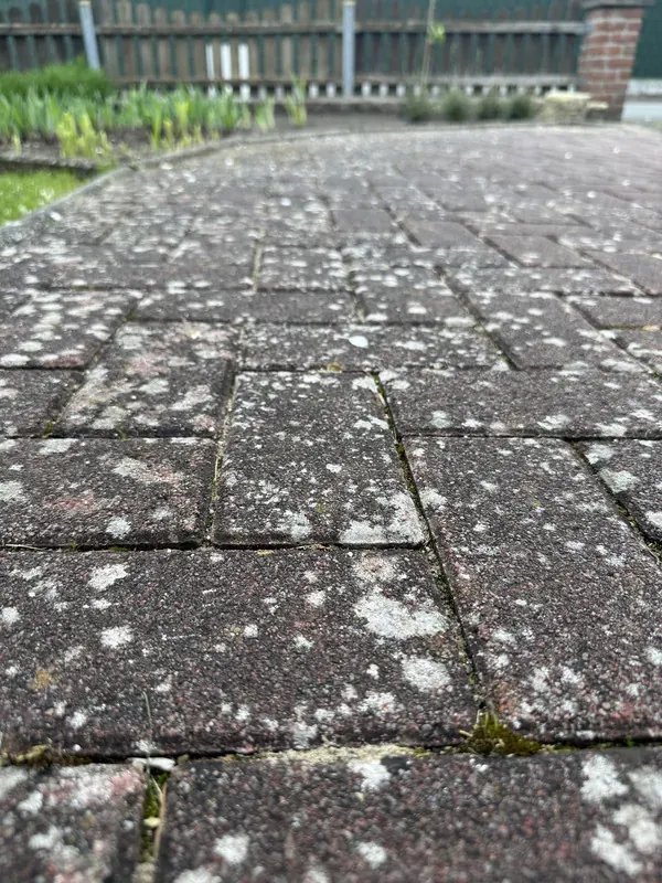 Vor der Reinigung: Steinreinigung Paderborn