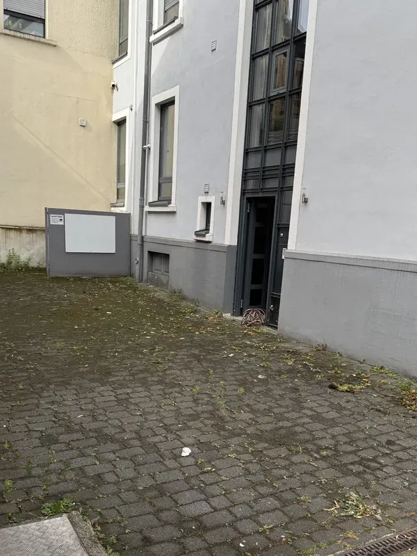 Vor der Reinigung: Steinreinigung und Unkrautentfernung Detmold