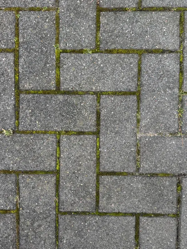 Vor der Reinigung: Steinreinigung Gütersloh