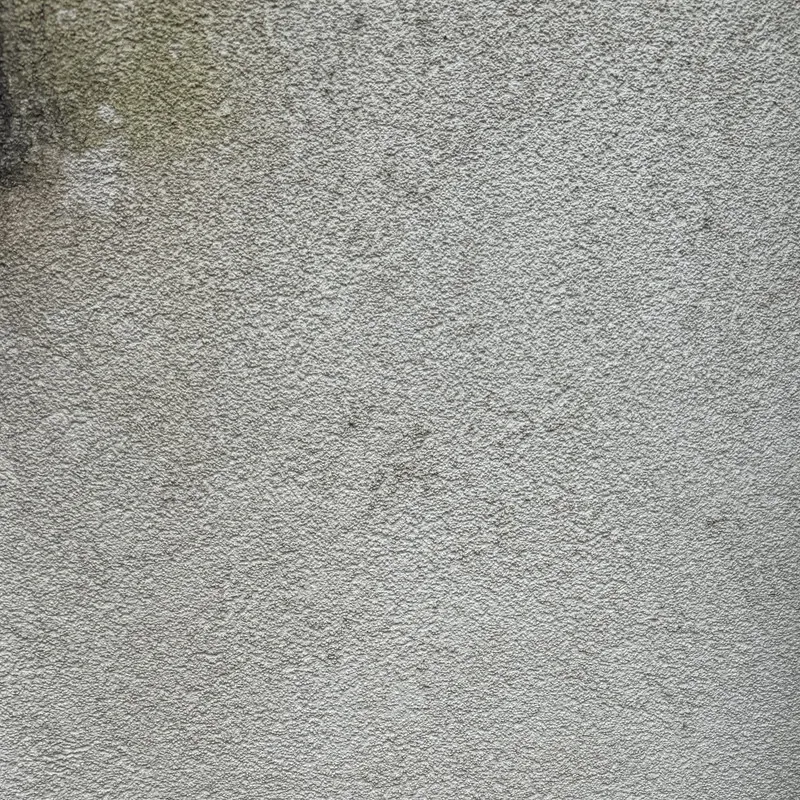 Vor der Reinigung: Fassadenreinigung Herford